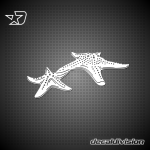 Starfish Sticker